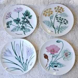 4 Vtg Horchow Botanical Spice Luncheon Plates Saffron Poppy Fennel Coriander